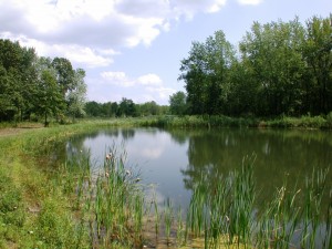 cherry_hill_aug5 031